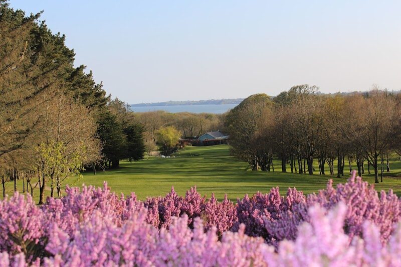 Courtown Golf Club golf course
